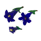 1930s–50s Blue Carved Celluloid Brooch Set – Floral Motif – Early Plastic – 3x by TheVoyageBird