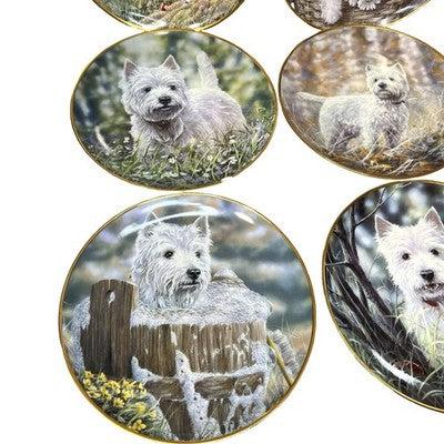 9x Danbury Mint Westies Plates Paul Doyle West Highland Terrier Dogs — view 2