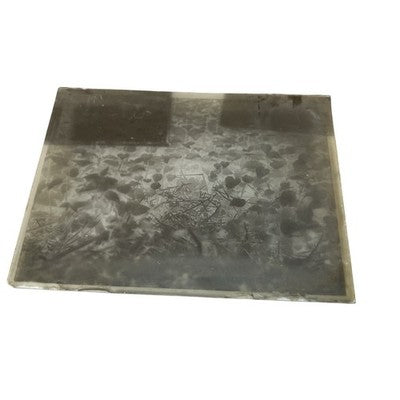 Antique Lumiere Jougla Glass Photographic Plates Negatives c1910s-20s
