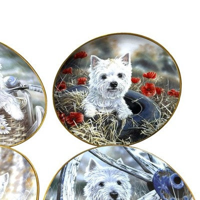 9x Danbury Mint Westies Plates Paul Doyle West Highland Terrier Dogs