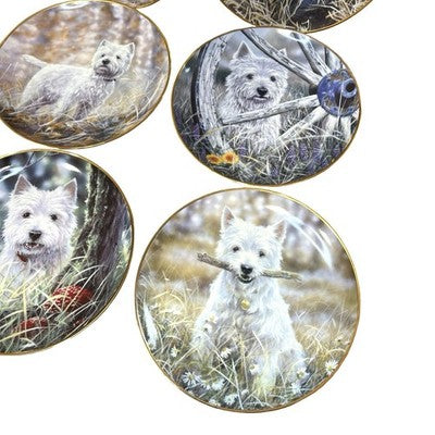 9x Danbury Mint Westies Plates Paul Doyle West Highland Terrier Dogs
