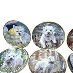 9x Danbury Mint Westies Plates Paul Doyle West Highland Terrier Dogs