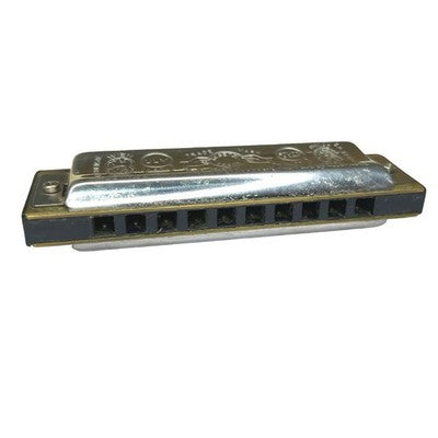 Vintage Hohner Big River Harp MS 10 Hole Harmonica Germany with Case
