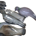 Bundle of 22x Pigeon Decoys & 1 Crow – Half & Full Body Mix – Hunting Shooting D