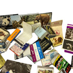 Vintage Matchbox Label Collection Job Lot Advertising Travel Hotels Wildlife