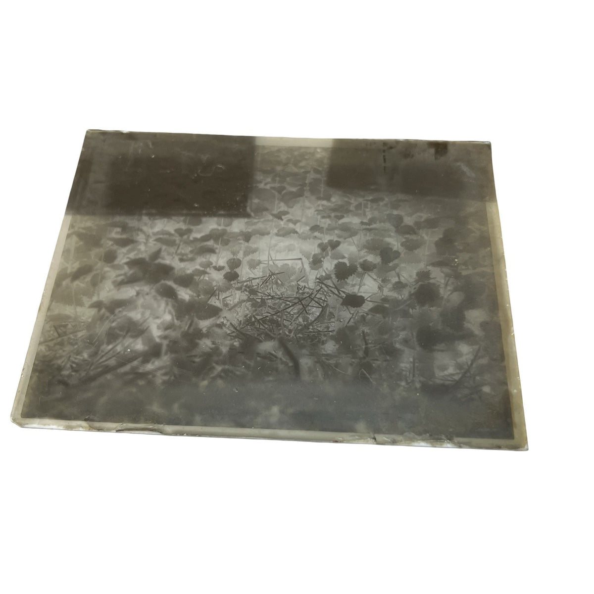 Antique Lumiere Jougla Glass Photographic Plates Negatives c1910s-20s