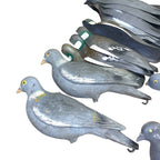 Bundle of 22x Pigeon Decoys & 1 Crow – Half & Full Body Mix – Hunting Shooting D