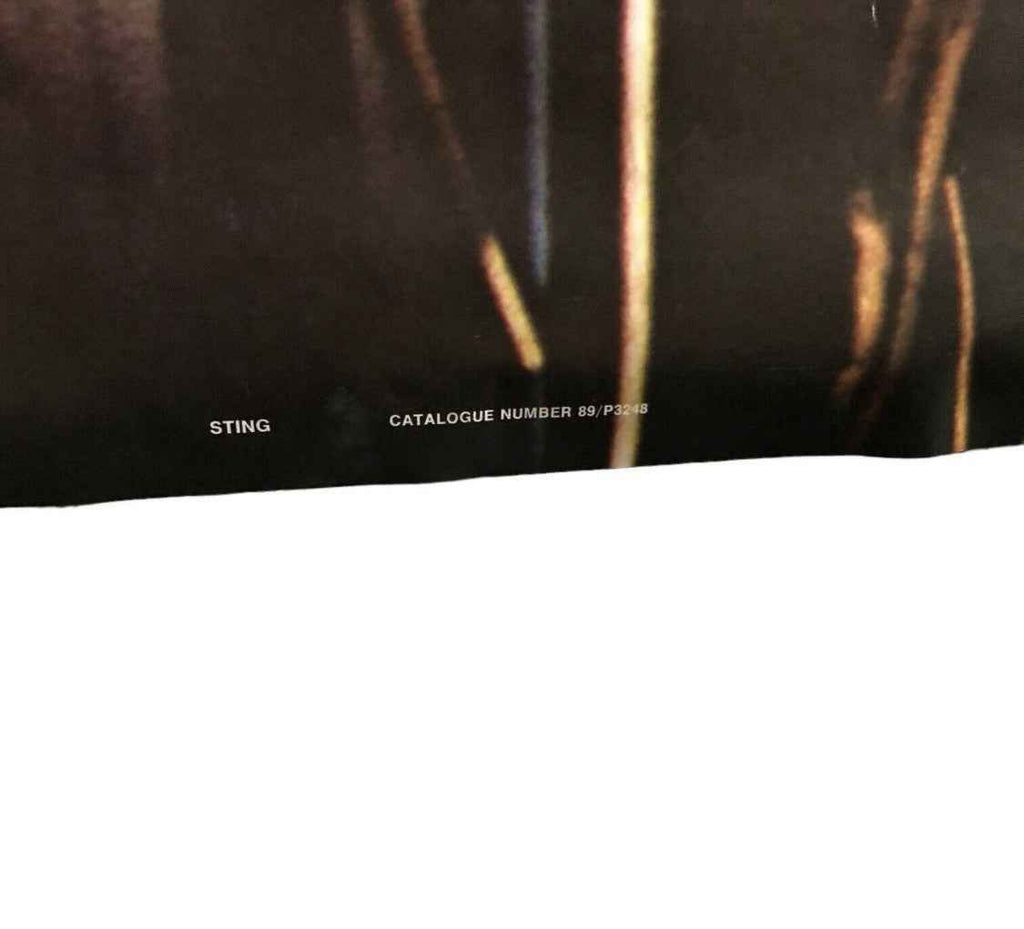 Original The Police Sting on Stage 1979 Live Poster - Vintage Pace International