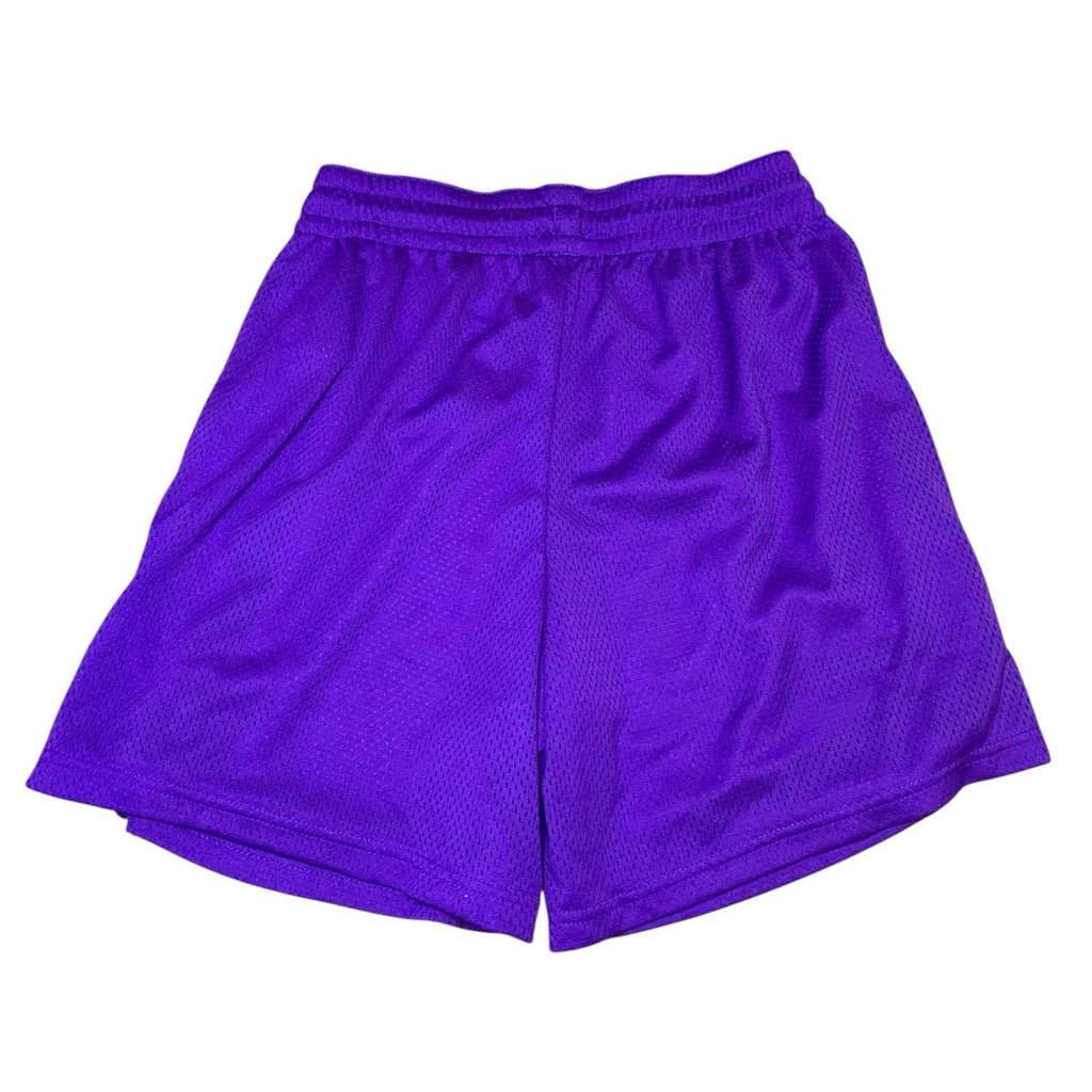 Nike LA Lakers Basketball Shorts Youth L 14-16 Yrs Purple Yellow NBA 160-170cm Activewear Shorts by TheVoyageBird