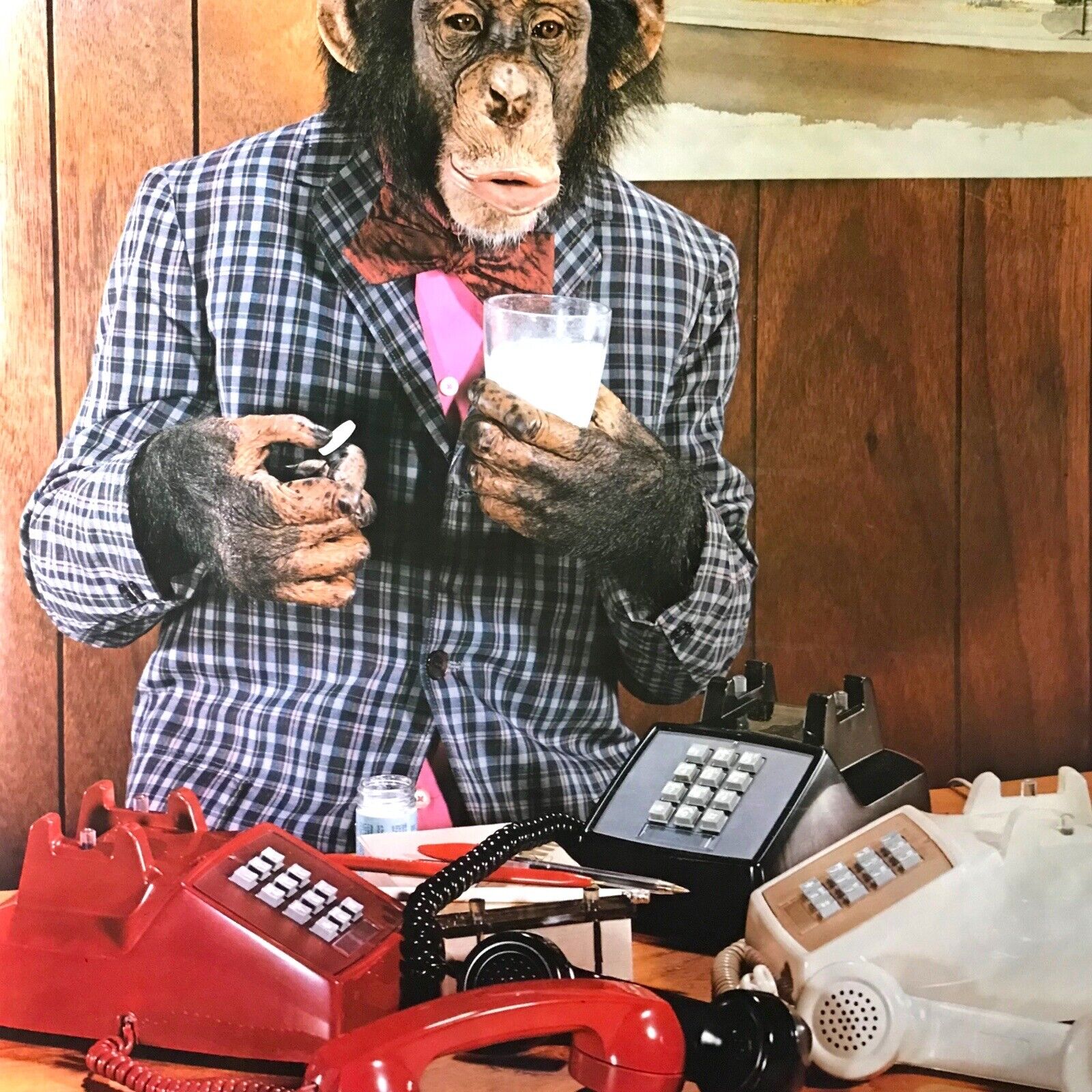 I Hate Mondays - Original Vintage Pace Minerva Monkey Ape Chimpanzee Poster 1981 Novelty Posters by TheVoyageBird