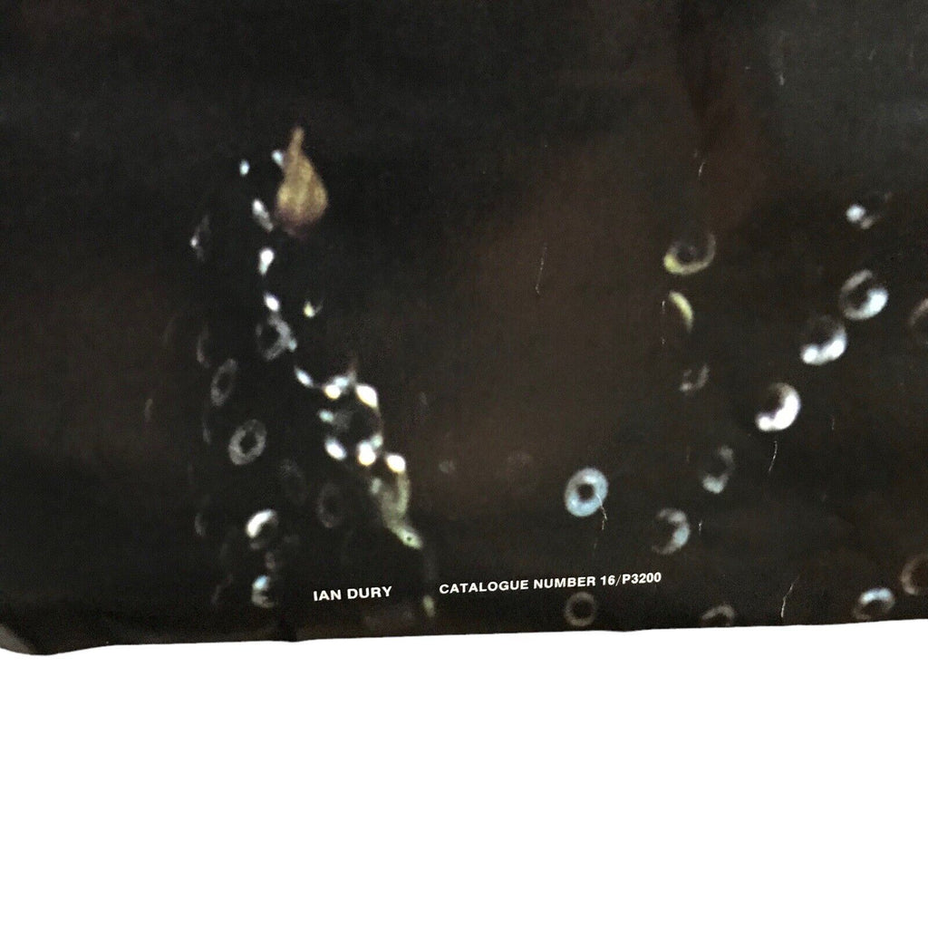 Original Vintage Ian Dury Poster Pace International 1979 Blockheads Stiffs No.16 Posters by TheVoyageBird