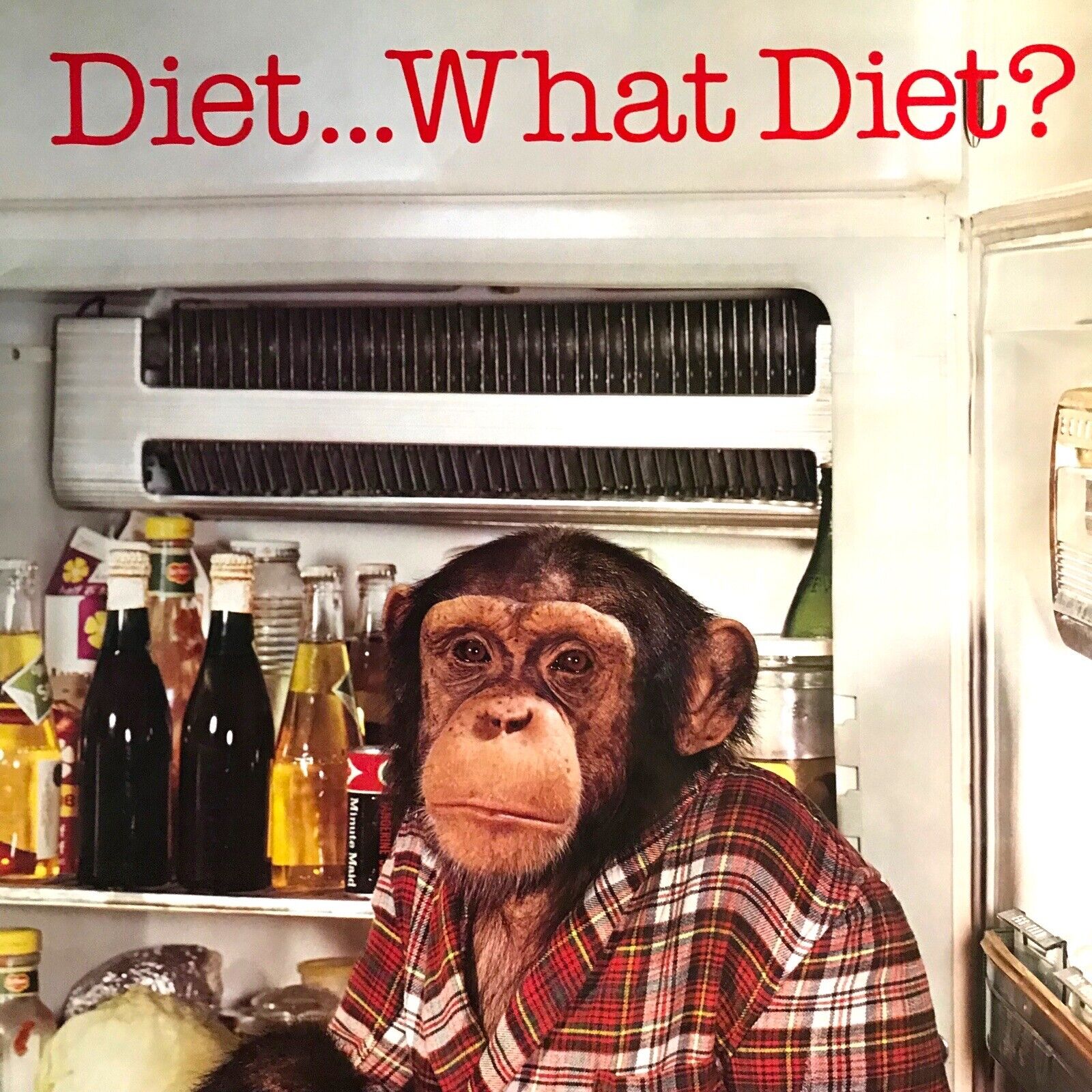 Vintage Diet … What Diet ? Chimpanzee Poster Original Pace Minerva 1980 No. 173 Posters & Prints by TheVoyageBird