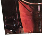 Vintage TED NUGENT Poster 1979 ORIGINAL Pace Minerva Cat No. 303 Band Posters by TheVoyageBird